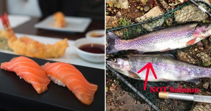 Karena Mirip Salmon, di Cina Ikan Ini Disajikan Sebagai Sashimi