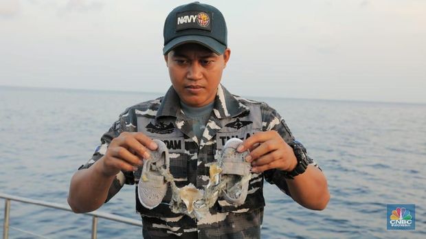 Terungkap! Ini Detik-detik Terakhir Jatuhnya Lion Air JT 610