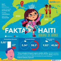 Dibandingkan dengan Haiti, Jokowi: Ekonom Tau, Senyum-Senyum Dia