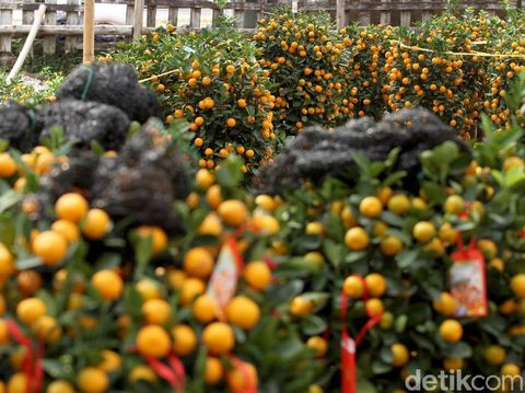 Deretan Sejarah, Mitos, dan Fakta Tahun Baru Imlek