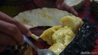 Lembut Wangi! Lezatnya Durian Bakar di Kebun Durian Rajawetan Brebes