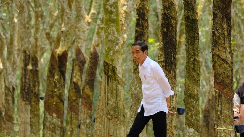 Surat Suara Tercoblos di Malaysia, Jokowi: Tak Ada Urusan Pemerintah