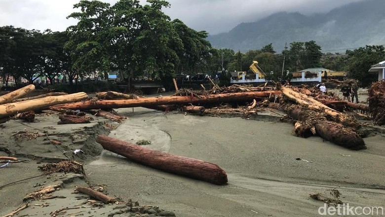 BNPB: Gunung Cycloop Jayapura Dirusak Jadi Permukiman