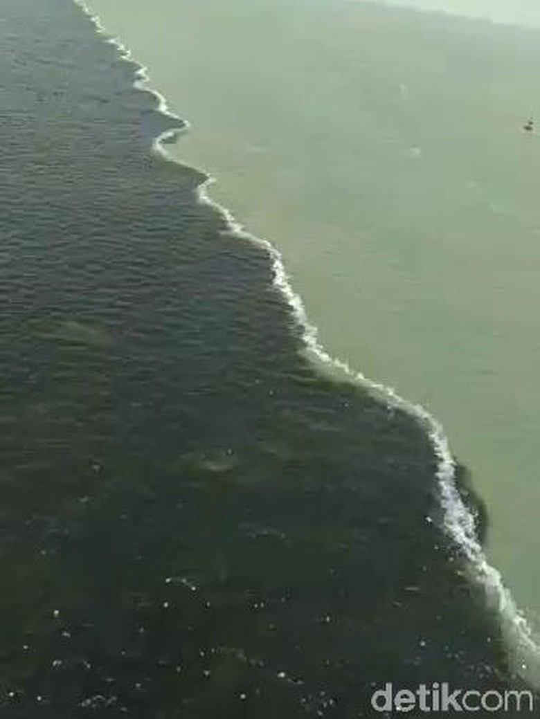 Viral! Air Laut di Bawah Jembatan Suramadu Seperti Terbelah