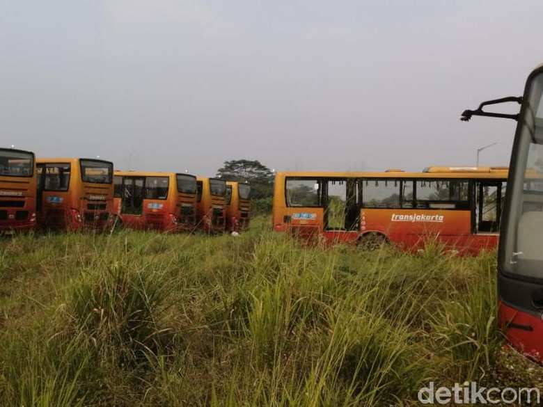 Bupati Bogor Ingin Ratusan TransJ Teronggok di Dramaga Jadi Bus Sekolah