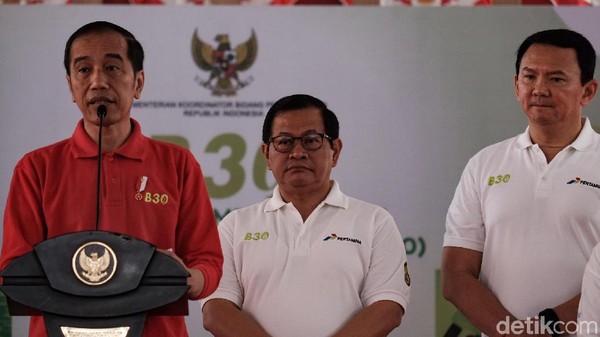 Momen Jokowi dan Ahok Ngobrol Berdua, Bahas Apa Ya?