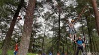 &#91;CoC Regional: Lokasi Wisata&#93; Objek Wisata Baru Banyumas, Hutan Pinus Limpakuwus