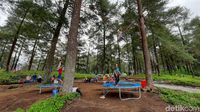 &#91;CoC Regional: Lokasi Wisata&#93; Objek Wisata Baru Banyumas, Hutan Pinus Limpakuwus