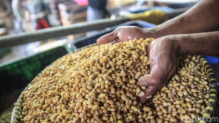 Miris! RI Negeri Tempe Tahu tapi Bergantung Kedelai Impor, Ini Datanya
