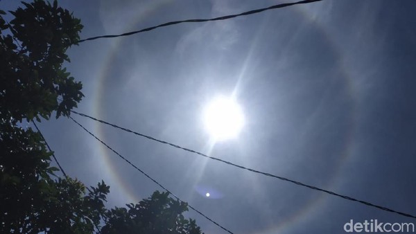 Maju Mundur Keyakinan Corona Bisa Dikalahkan Sinar Sang Surya
