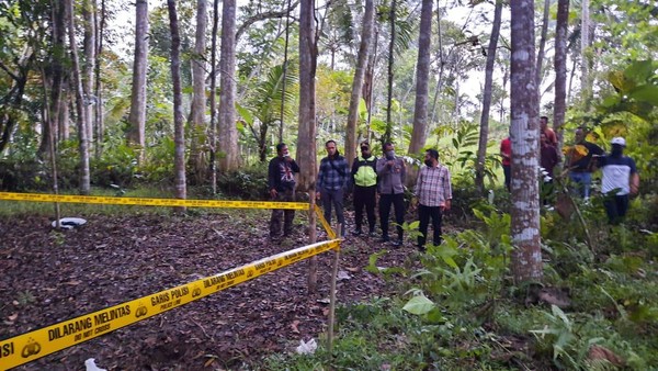 Penemuan Jasad Bayi Tak Utuh di Area Hutan Tasikmalaya, Gegerkan Warga! 
