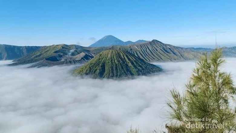 coc-reg-bromo-pengunjung-di-bawah-10-tahun-dan-di-atas-60-tahun-dilarang-ke-bromo