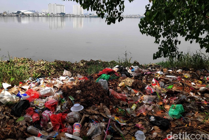 Potret Kondisi Waduk Pluit dari Zaman Jokowi hingga Anies