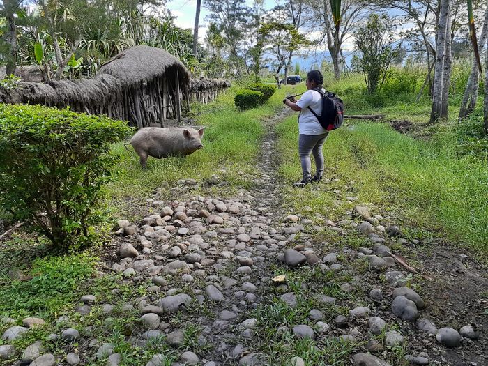 &#91;Coc Reg. Papua&#93; Lembah Baliem, Anda Harus Mengunjunginya Suatu Saat