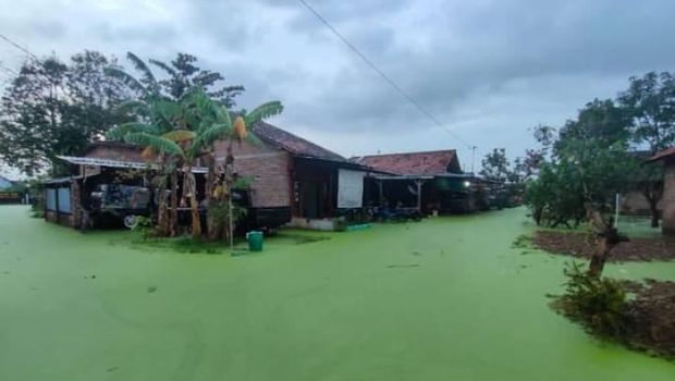 Heboh Air Banjir di Pekalongan Berwarna Hijau, Kok Bisa?