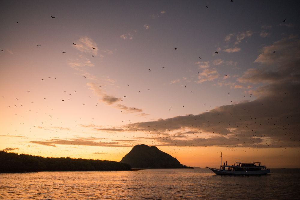 9 Destinasi Unggulan Kala Berkunjung ke Labuan Bajo