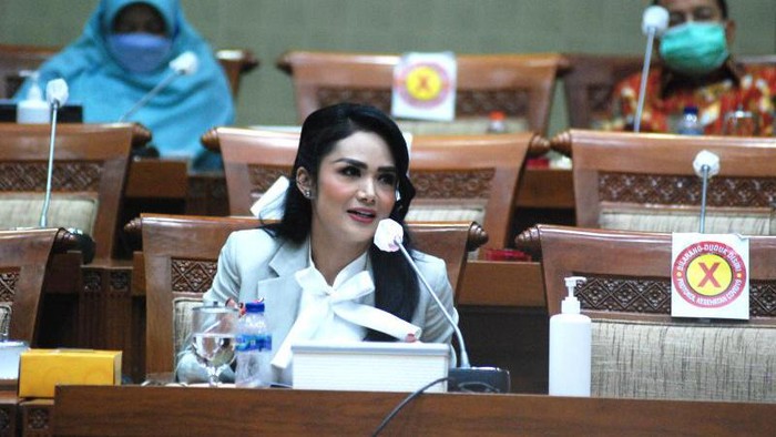 Bukan Cuma Gaji-Tunjangan, Anggota DPR Juga Dapat Pensiun Seumur Hidup