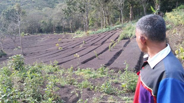 Hutan Jadi Lahan Sayur Diduga Jadi Penyebab Utama Banjir Bandang di Kota Batu