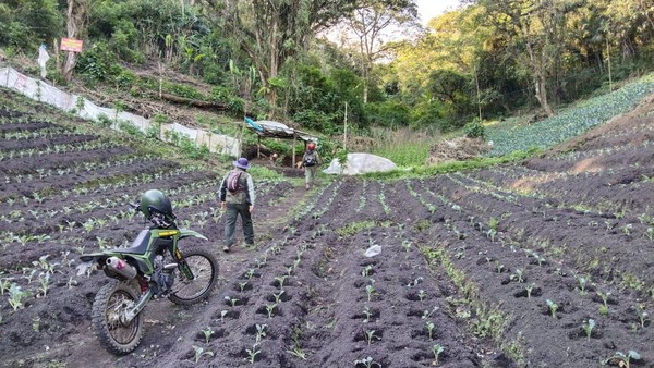 Hutan Jadi Lahan Sayur Diduga Jadi Penyebab Utama Banjir Bandang di Kota Batu