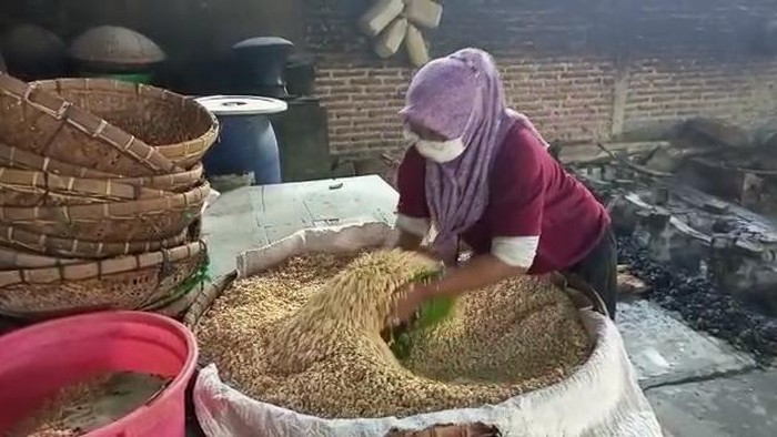 Harga Kedelai Ngegas, Produsen Tempe Mulai Ketar-ketir