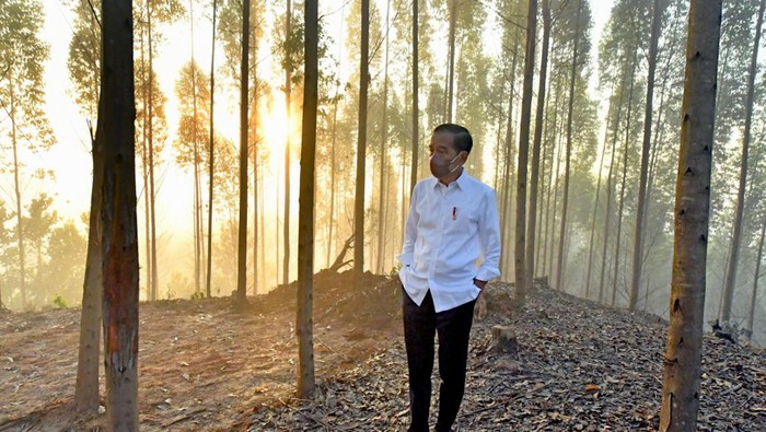 Senior PDIP Ungkap 4 Menteri Nyatakan Mau Maju Pilpres ke Jokowi