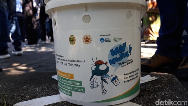 Bali Tolak Program Penyebaran 200 Juta Telur Nyamuk Wolbachia