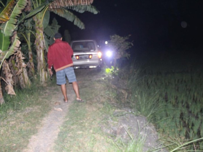 Pengemudi Mobil Dibuat Merinding, Tersesat Masuk Sawah di Jombang Ikuti Google Maps