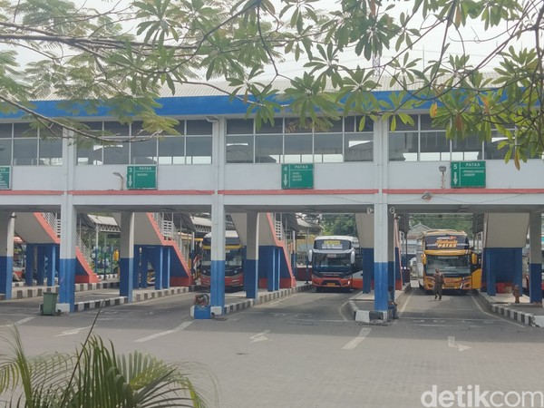 Tarif Bus Naik Hampir 2 Kali Lipat Berujung Sambat Sopir Sepi Penumpang