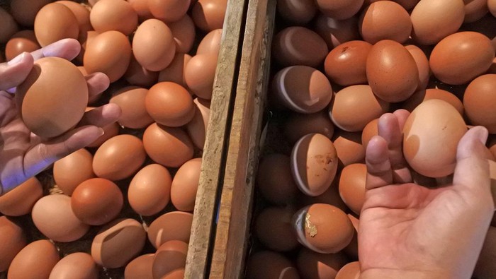 Gila! Harga Telur Tembus Rp 40.000/Kg, Pedagang Ungkap Biang Keroknya