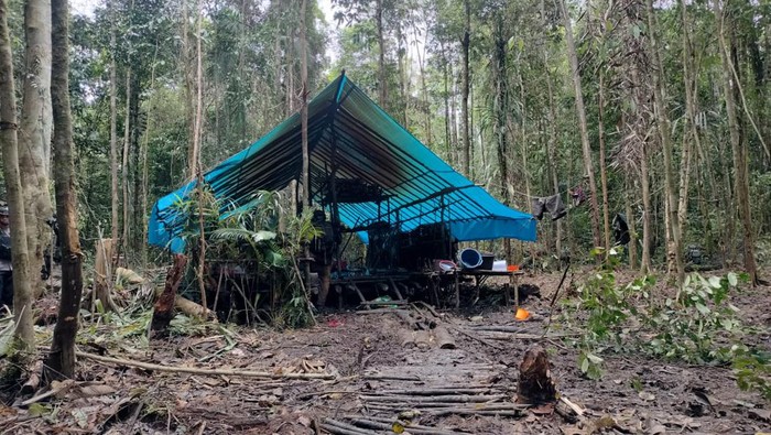 Terbongkarnya Markas KKB Papua di Hutan Belakang Kantor Bupati Yahukimo