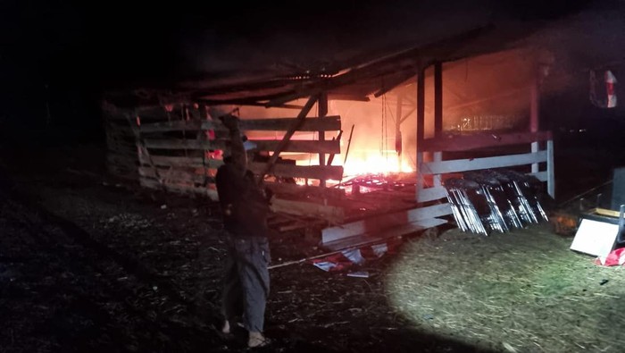 polisi-selidiki-penyerangan-maut-di-distrik-kramamongga-fakfak-dilakukan-kkb