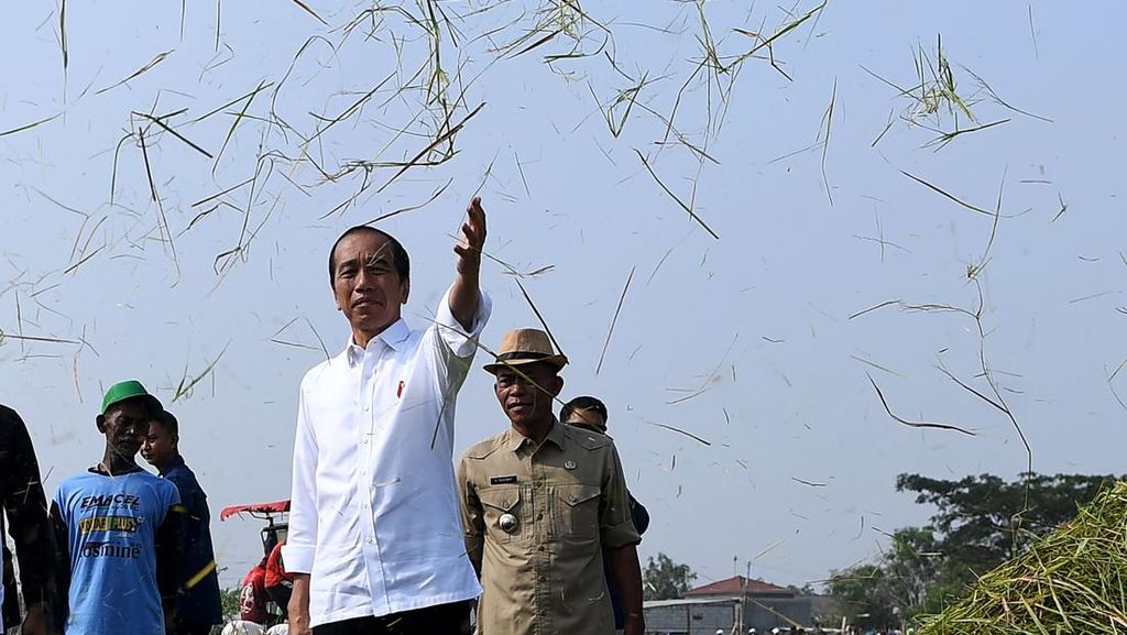 Harga Beras RI Disebut Paling Mahal di ASEAN, Jokowi Buka Suara