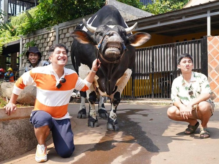 Irfan Hakim Sumbangkan Kepala Sapi Jumbo Untuk Bahan Penelitian