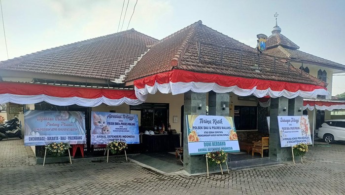 Terungkap! Ini Motif Pria di Malang Paku Kucing di Pohon hingga Mati