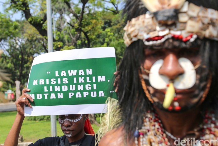 Disorot Dunia, Proyek Pemerintah di Papua Disebut Bakal Jadi Deforestasi Terbesar