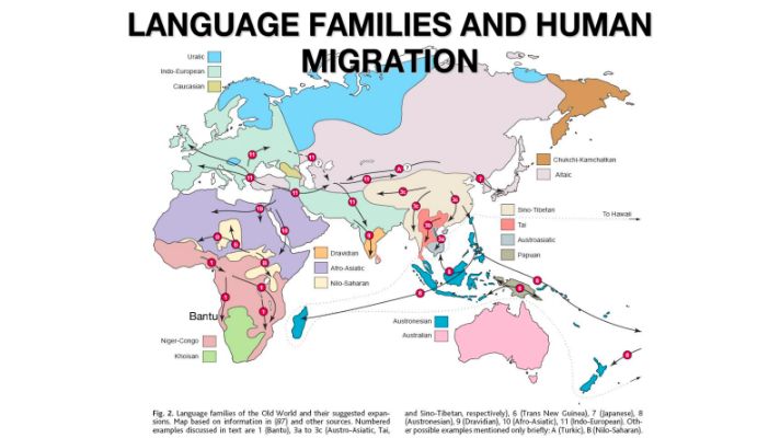 Ilmuwan Ungkap Asal Usul Leluhur Orang Indonesia