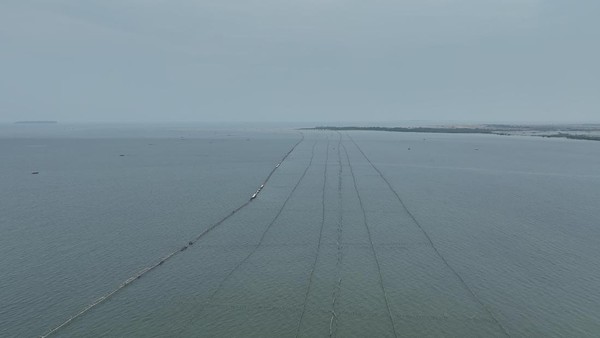 Pagar Misterius Membentang 30,16 Km di Laut Tangerang, Tak Ada Pihak yang Beri Ijin