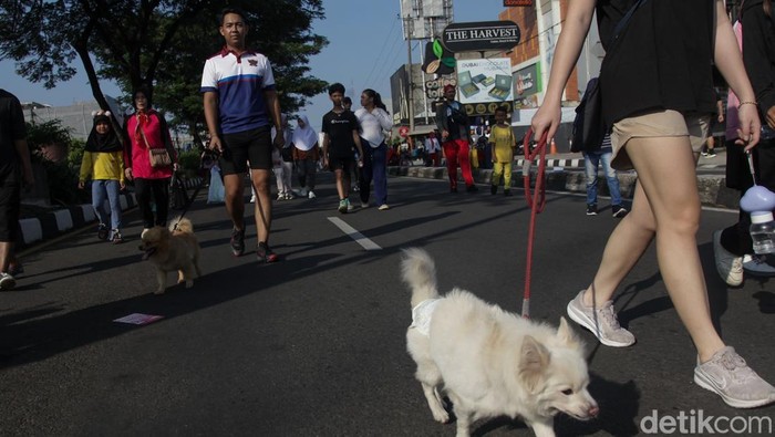 Agak Laen, Warga Bawa Bebek ke CFD Depok