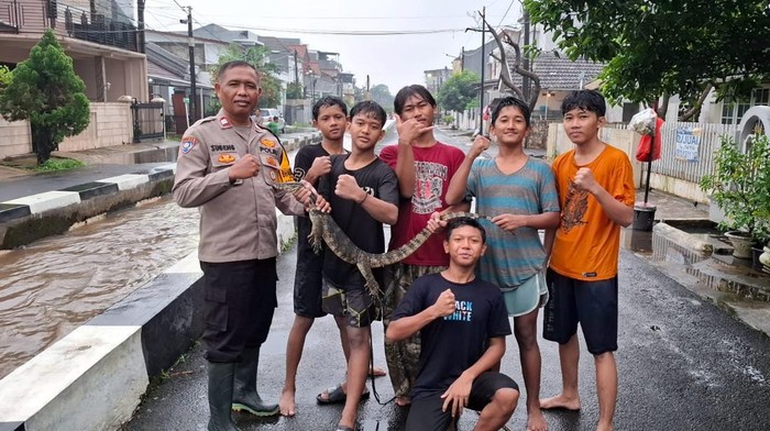 Polisi dan Bocil Tangkap Biawak Masuk Rumah Saat Banjir di Ciputat