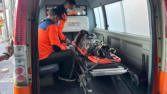 Tragis! Pria Denpasar Tewas Diserang Ayam Aduan Saat Nonton Sabung