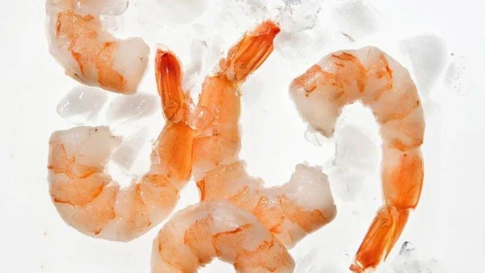 bapeten-ungkap-pabrik-udang-pt-bms-terpapar-zat-radioaktif