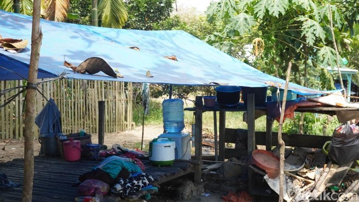 Ditipu Penculik Bilqis, Orang Rimba Jambi Justru Jadi Penyelamat