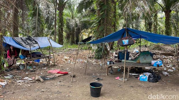 Ditipu Penculik Bilqis, Orang Rimba Jambi Justru Jadi Penyelamat