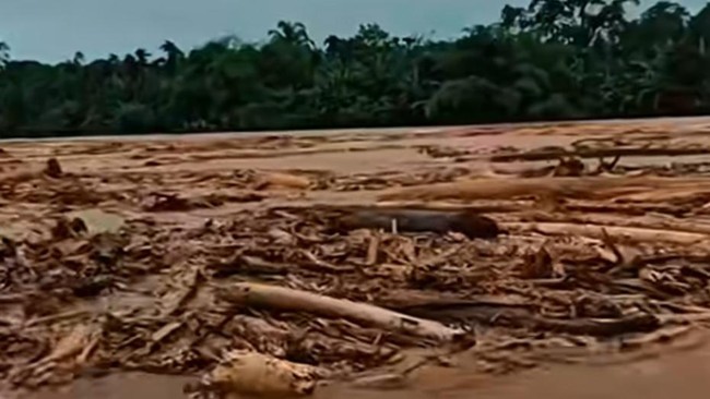 Kayu Gelondongan Terbawa Banjir di Sumut, Ini Kata Bobby