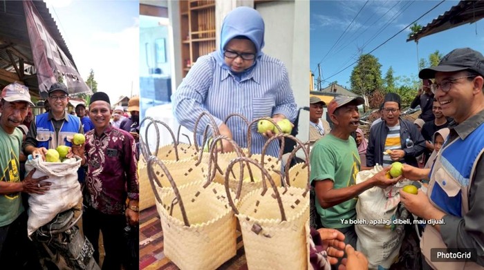 anies-baswedan-borong-sekarung-jambu-korban-bencana-aceh-di-pidie-jaya