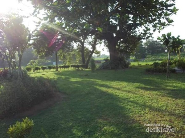 &#91;Coc Reg. Mojokerto&#93; Sisa Kejayaan Rumah Bangsawan Majapahit di Candi Kedaton