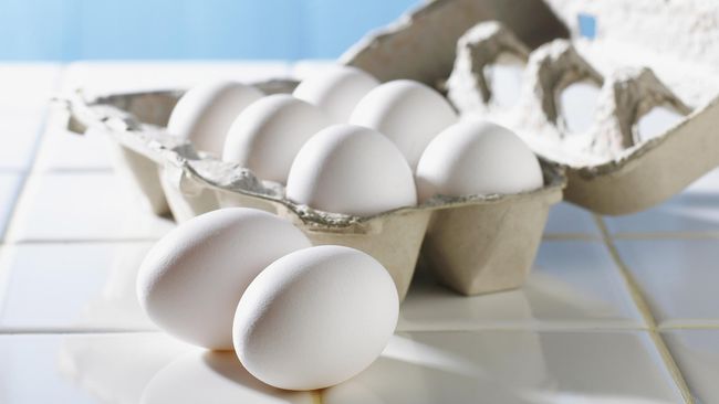 mengupas-perdebatan-telur-ayam-kampung-vs-telur-ayam-negeri
