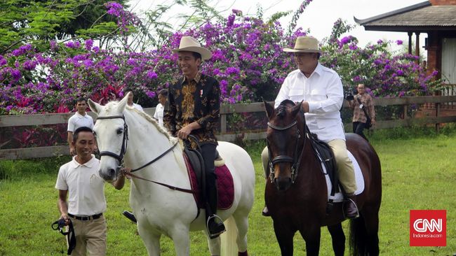 Amien Sebut Jokowi Otoriter dan Lebih Militer dari Prabowo