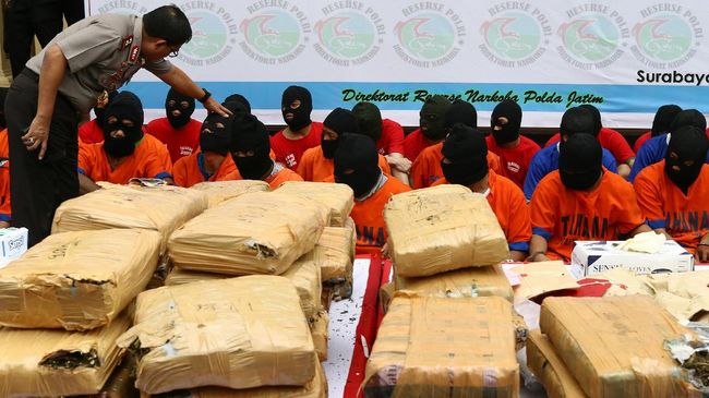 Polisi Tangkap Sindikat 1,4 Ton Ganja Ditimbun di Ikan Asin