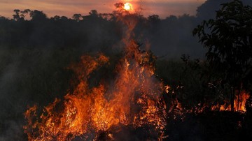 Amazon Menyala, 30% Oksigen Di Dunia Terancam Hilang!